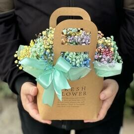 Гипсофила разноцветная в коробке-сумочке