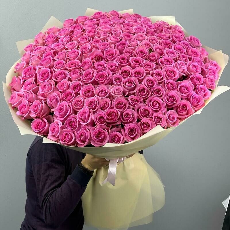151 rozovaya Roza, monobuket iz 151 rozovoj rozi