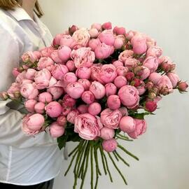 Пионовидные розы 35 веток