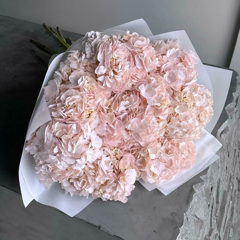 Большой нежный букет розовые гортензии, монобукет из 9 гортензий