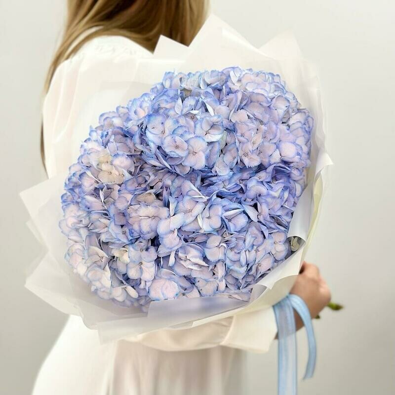 Buket golubih gortenzij - «Ti moe nebo», monobuket iz 5 gortenzij