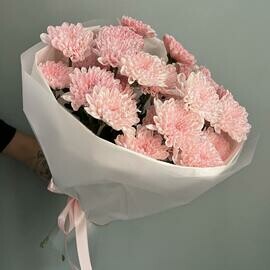 Букет из 5 розовых хризантем «Розовая нежность»