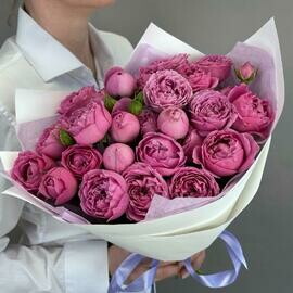 Pionovidnie kustovie rozi Misty Bubbles