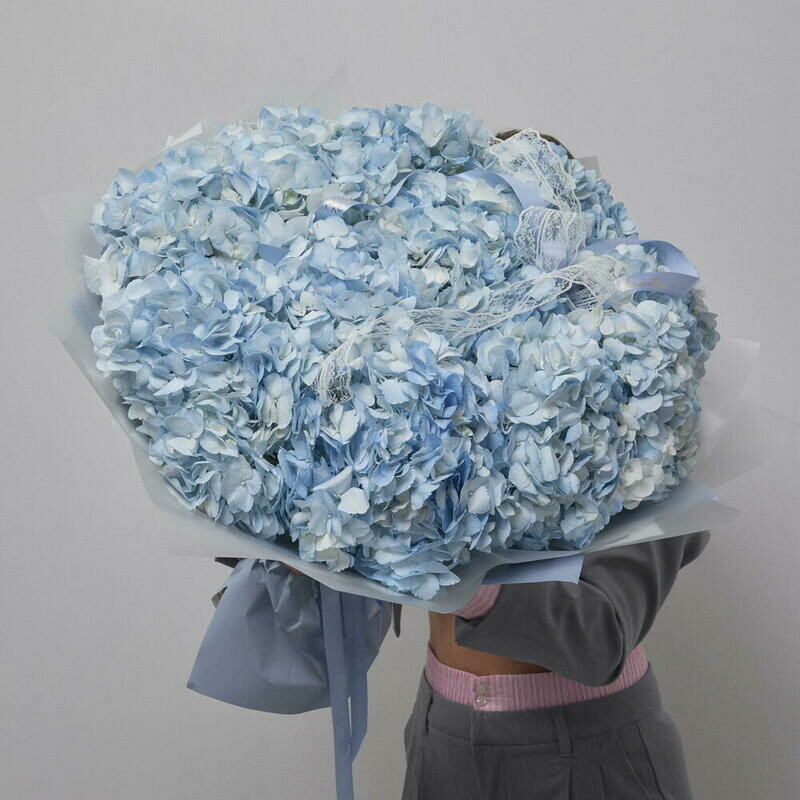 Нежный букет из 11 голубых гортензий, монобукет из 11 гортензий