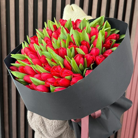 Buket iz krasnih tyul_panov 101 sht