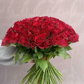 Sto odna krasnaya roza