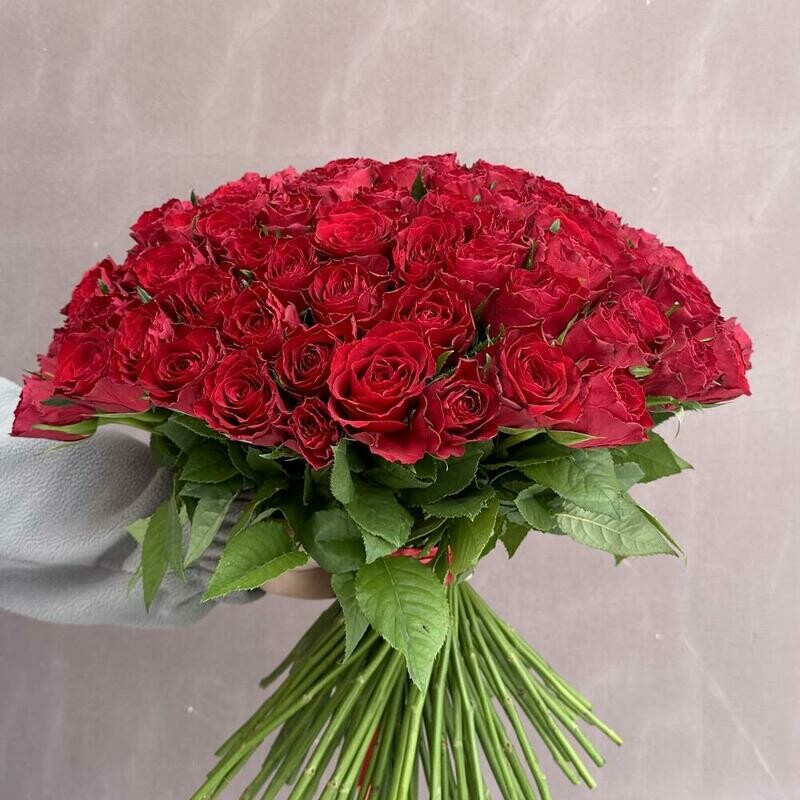 Сто одна красная роза, монобукет из 101 красной розы