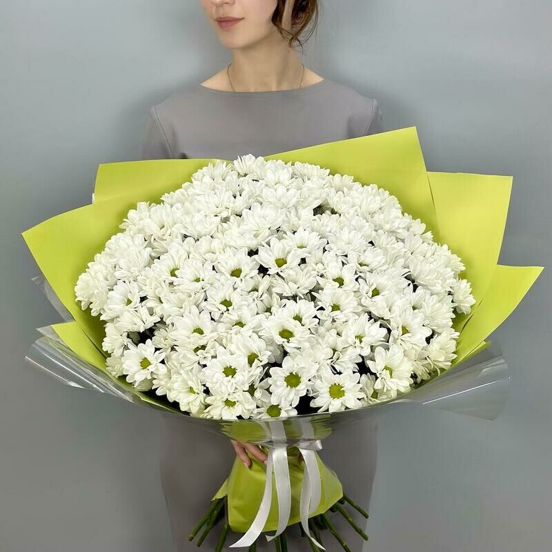 Bol_shoj buket kustovih romashkovidnih hrizantem, monobuket iz 25 bakardi romashka