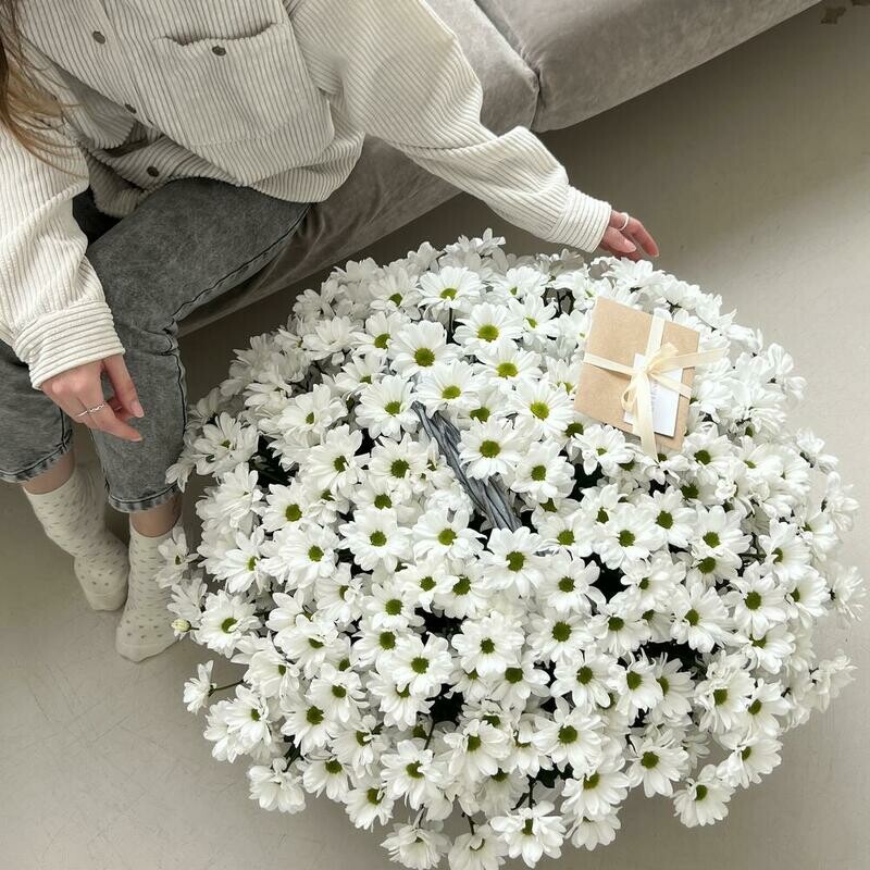 Огромная корзина с ромашками, стандартный