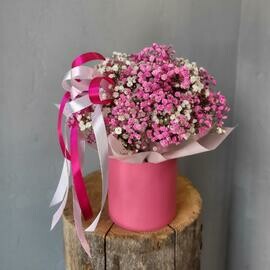 Малиновая гипсофила в коробочке "Селена"