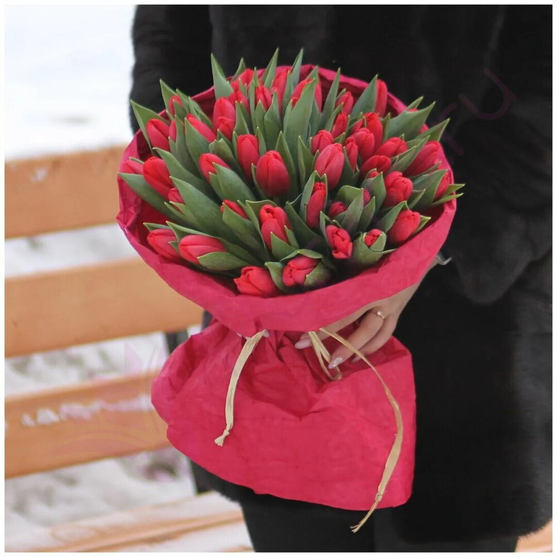 Букет из красных тюльпанов 51шт, букет из красных тюльпанов 51шт