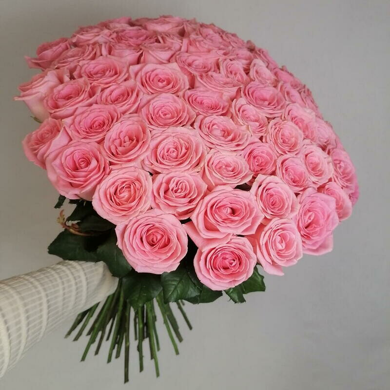 Букет из 75 розовых роз сорта, монобукет из 75 роз