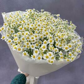 Букет из полевых ромашек 25 шт