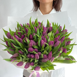 Buket iz fioletovih tyul_panov 101 sht