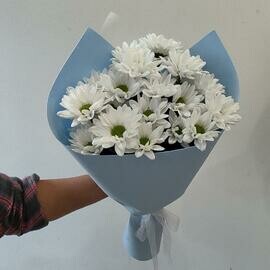 Buket-kompliment iz romashkovih hrizantem