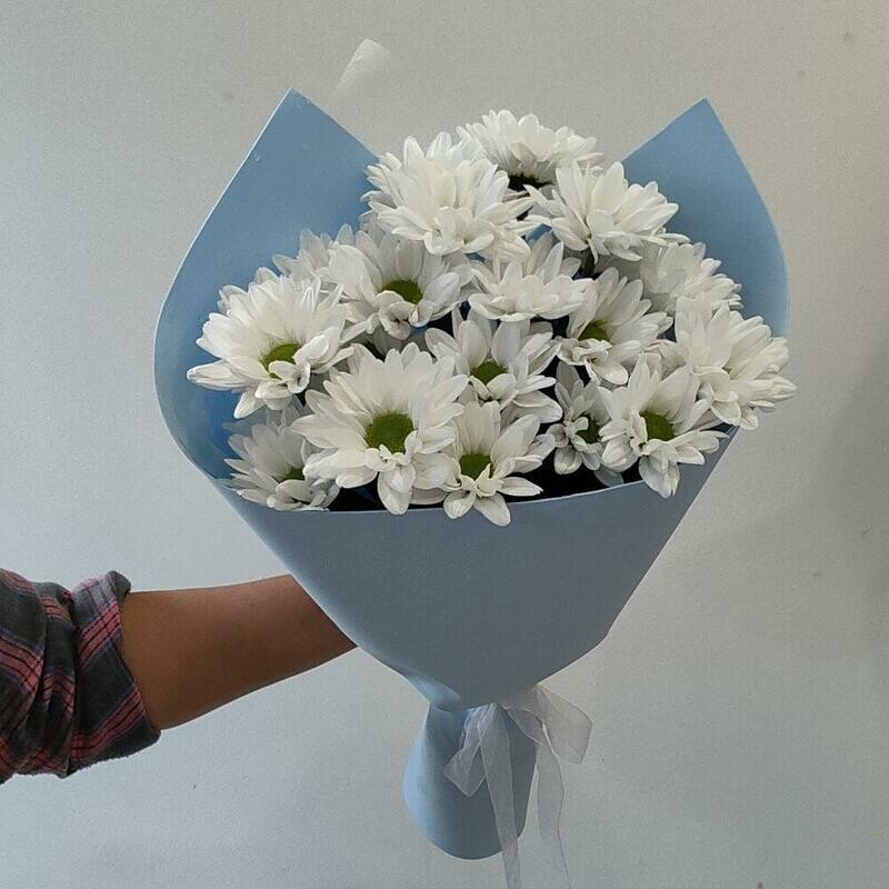 Букет-комплимент из ромашковых хризантем, монобукет из 3 хризантем