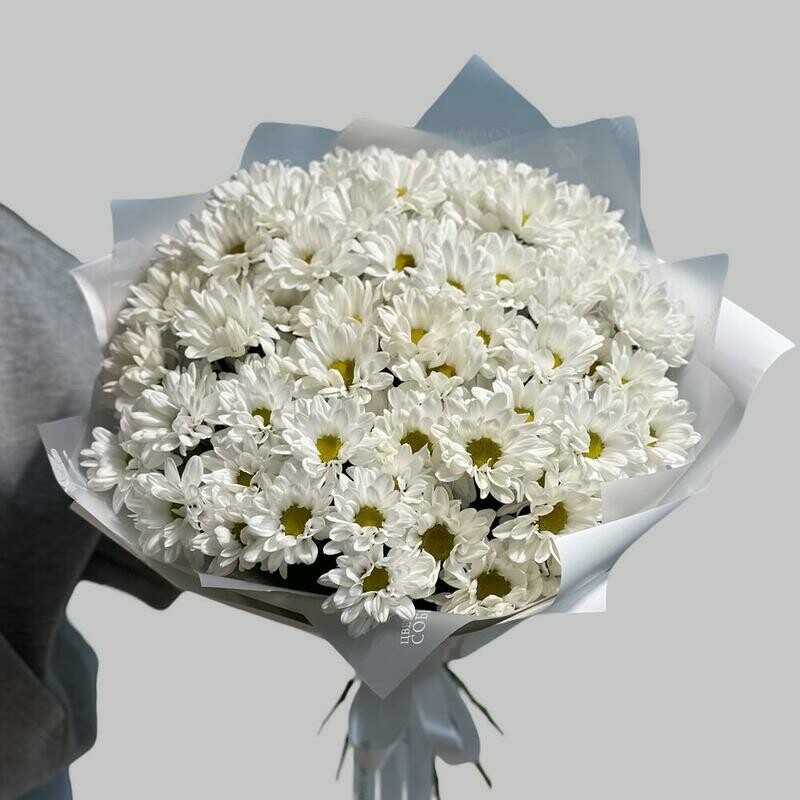 Букет из 11 кустовых белоснежных хризантем, монобукет из 11 хризантем