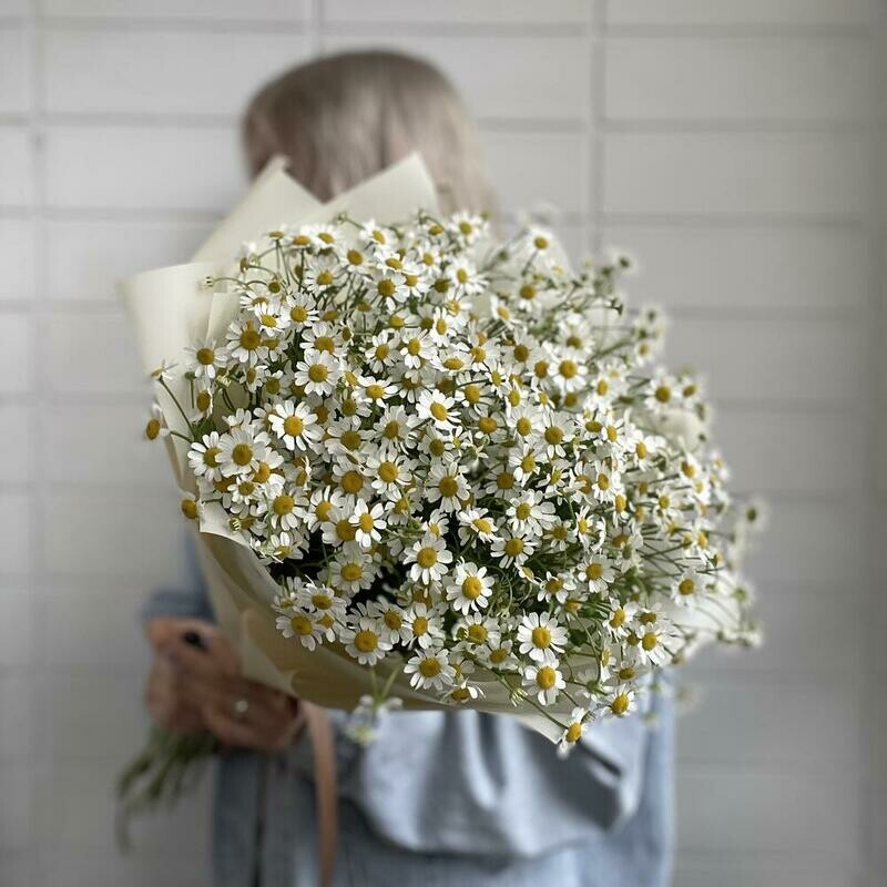 Romashki 15, monobuket iz 15 tanatcetum