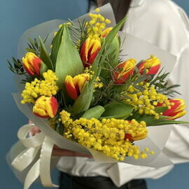 Тюльпан 9 шт. С мимозой