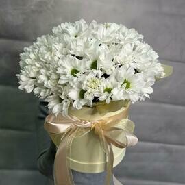 Коробка с белыми кустовыми хризантемами