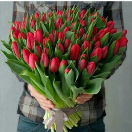 Buket iz krasnih tyul_panov 51sht