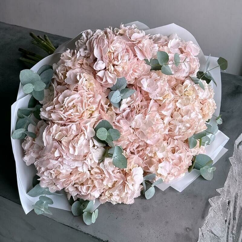Большой нежный букет розовые гортензии и эвкалипт, монобукет из 9 гортензий