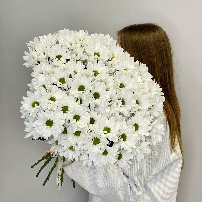 «Smile» букет из ромашковых хризантем, монобукет из 15 хризантем