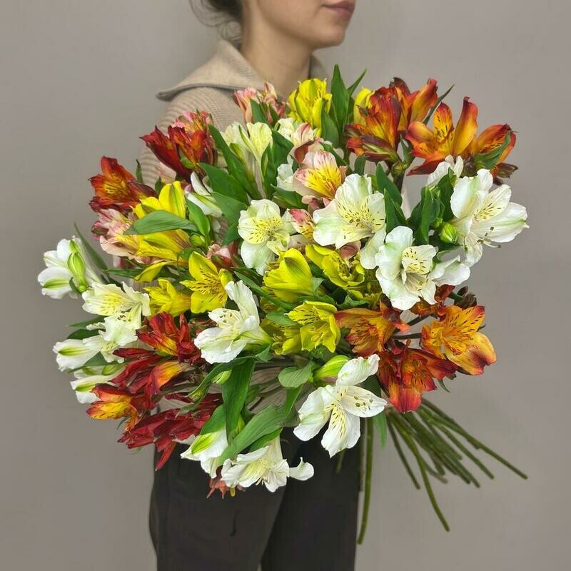 Букет из альстромерий микс, монобукет из 15 альстромерий