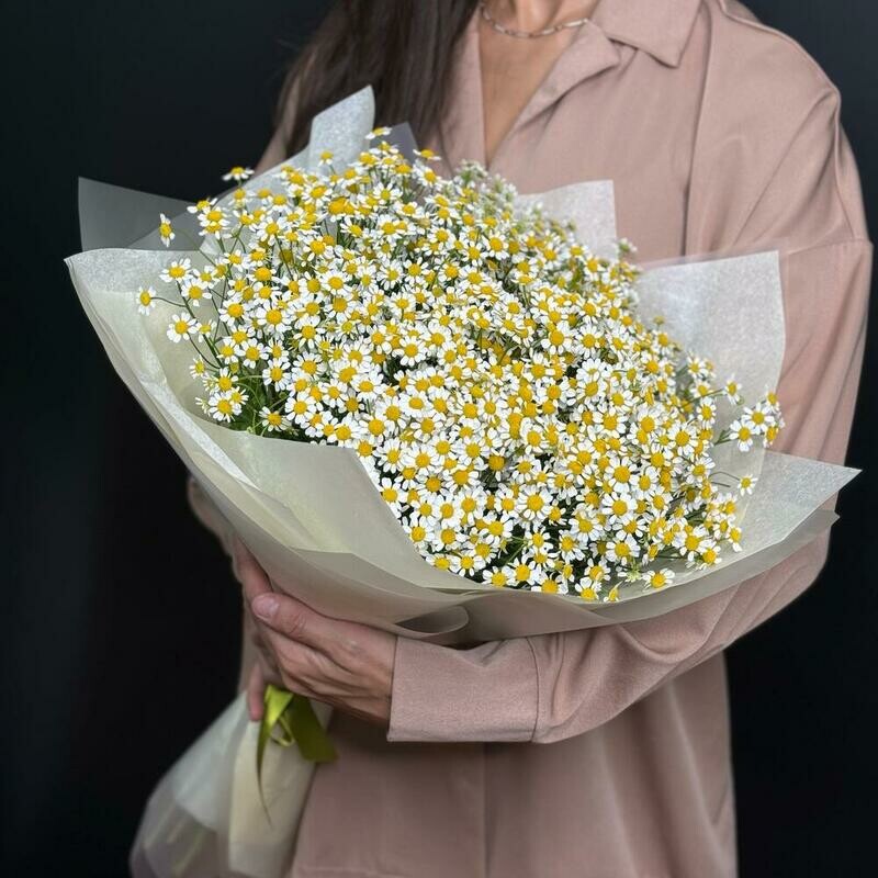 Ромашки, монобукет из 25 ромашек танацетума