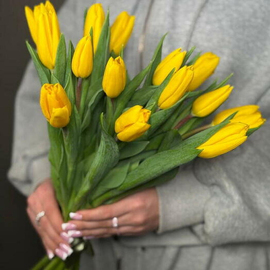 Buket iz zhyoltih tyul_panov 15sht
