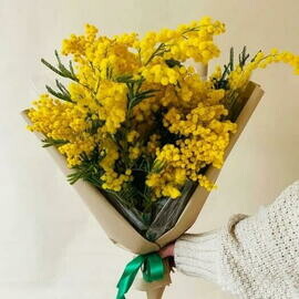 Букет из мимозы