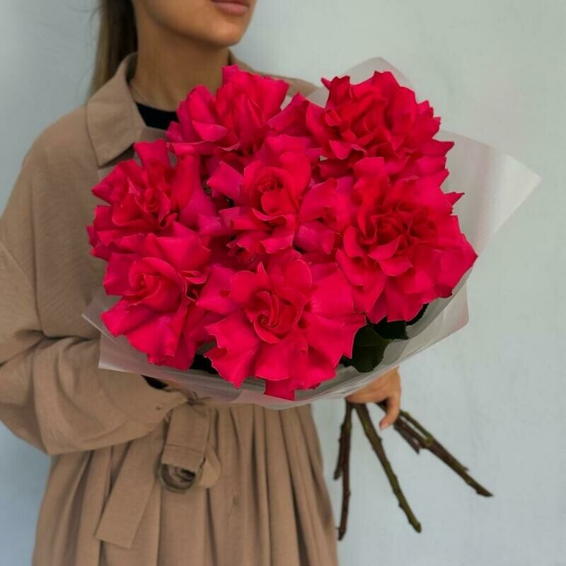 Buket iz yarkih frantcuzskih roz fuksiya, monobuket iz 7 frantcuzskih roz