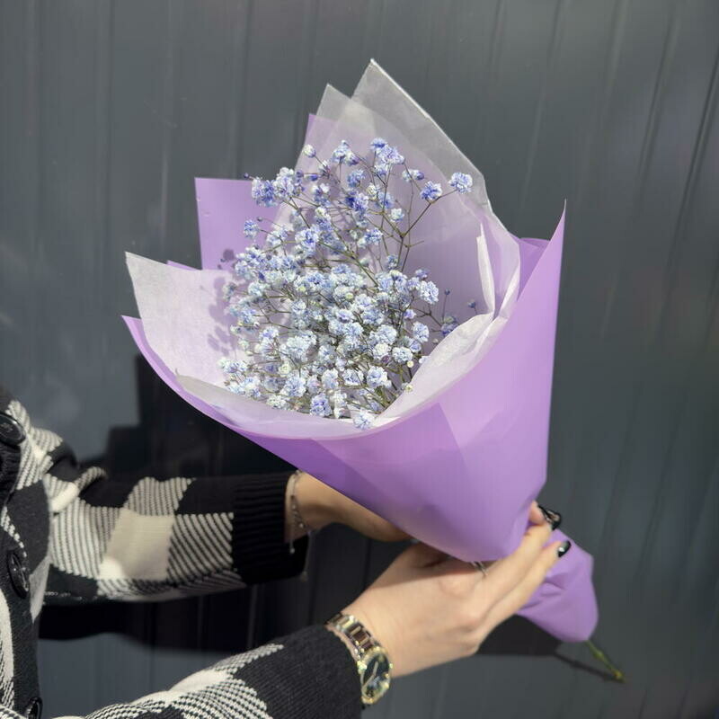 Гипсофила фиолетовая корпоративный заказ 8 марта, монобукет из 1 гипсофилы