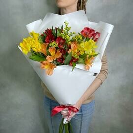 YArkie al_stromerii 7 sht i Solidago