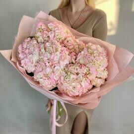 7 розовых гортензий в букете