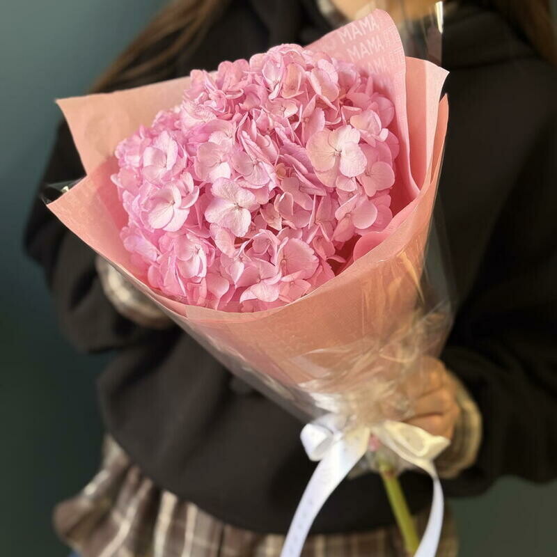 Гортензия для мамочки , монобукет из 1 гортензии