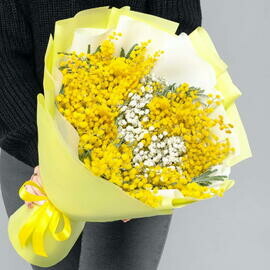 Мимоза с гипсофилой