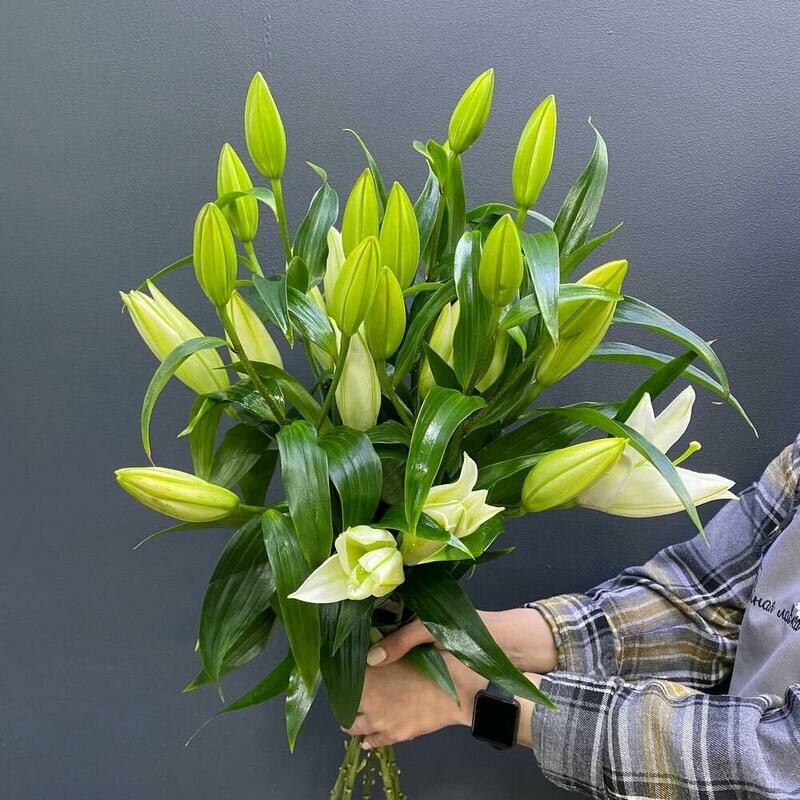 Букет из лилии, монобукет из 5 лилий