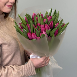 Букет из фиолетовых тюльпанов 51шт