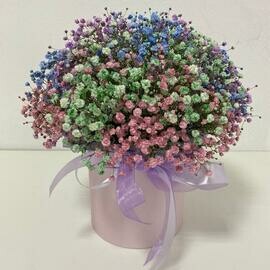 Пышная коробочка с радужной гипсофилой