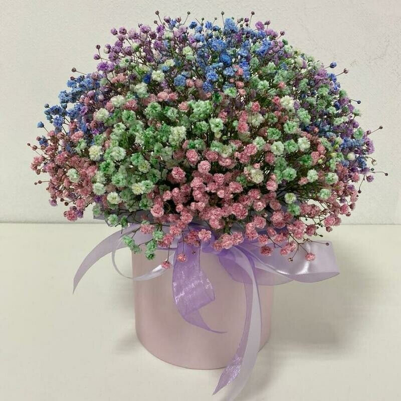 Pishnaya korobochka s raduzhnoj gipsofiloj, reduced