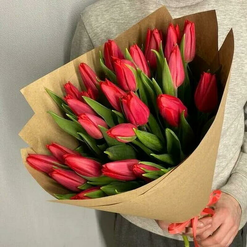 Букет из красных тюльпанов 25шт, монобукет из 25 тюльпанов