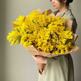 Мимоза 11 веток