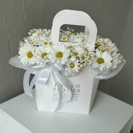 Сумочка ромашек композиция в губке