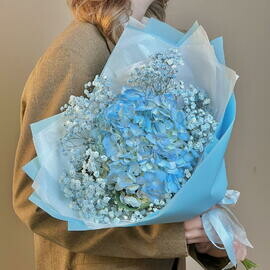 «Oblako nezhnosti»