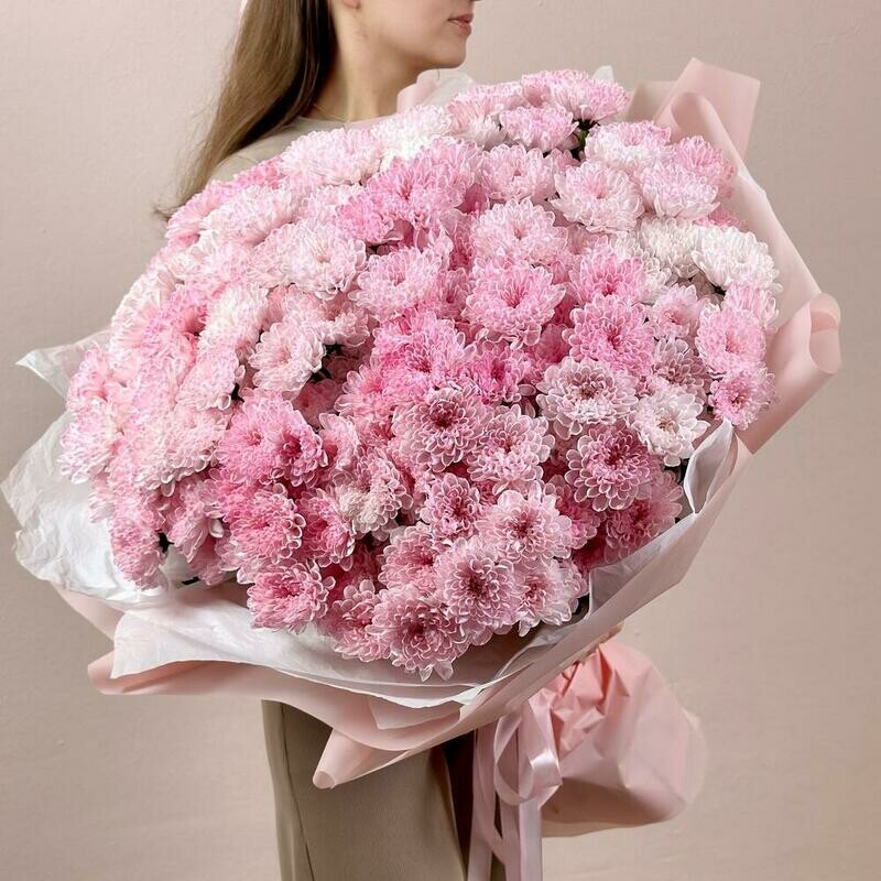 Bol_shoj buket iz 35 rozovih kustov hrizantemi, monobuket iz 35 hrizantem