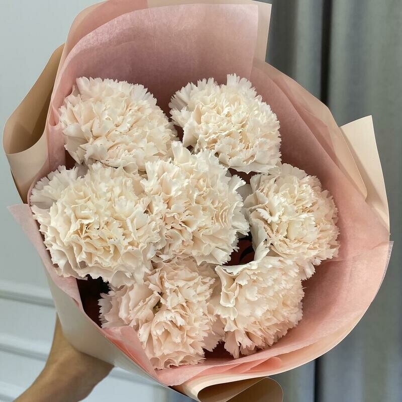 Stojkij buket iz diantusov kremovogo tcveta, monobuket iz 7 diantusov