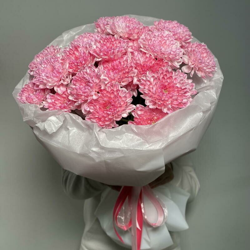 Buket iz kustovoj hrizantemi Pudra, monobuket iz 5 hrizantem