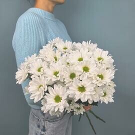 Buket iz 5 kustovih hrizantem