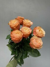 7 КАРАМЕЛЬНЫХ РОЗ ПОД ЛЕНТУ